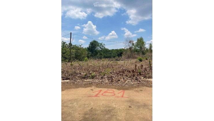 CHÍNH CHỦ CẦN BÁN ĐẤT 1000m² (12x90m) – GIÁ CHỈ 550 TRIỆU-  HỚN QUẢN -  BÌNH PHƯỚC