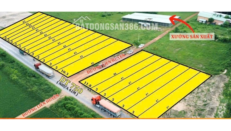ĐẤT ĐẸP DT750 – CÓ SỔ SẴN – 250M² GIỮ TÀI SẢN AN TOÀN – ĐẦU TƯ GIÁ TRỊ THỰC