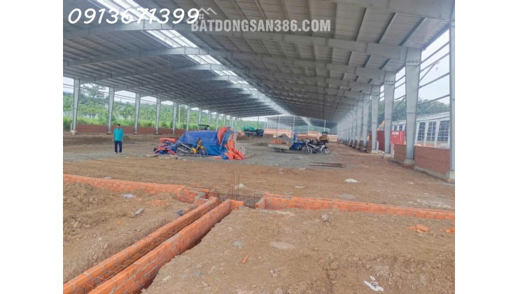 Cho Thuê Nhà Xưởng Bàu Bàng Bình Dương – 10.800m², PCCC Tự Động, Giá 2.5 USD/m²