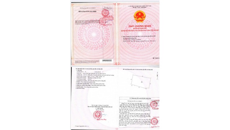 CHÍNH CHỦ Cần Bán 5600M2 Đất Lúa - MẶT TIỀN Châu Thị Kim, An Vĩnh Ngãi, TP Tân An, Long An