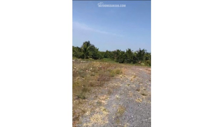 ĐẤT CHÍNH CHỦ - Bán 12.000M2 Đất Lúa - 2 Mặt Tiền Châu Thị Kim, An Vĩnh Ngãi, TP Tân An