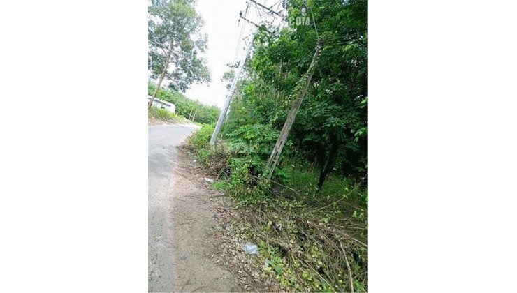 ĐẤT ĐẸP – GIÁ TỐT  – CHÍNH CHỦ CẦN BÁN TẠI Xã Suối Dây, Huyện Tân Châu, Tây Ninh