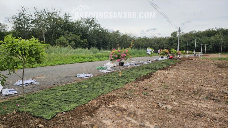 CƠ HỘI SỞ HỮU ĐẤT ĐẸP TẠI AN LONG, TP.HCM – VỊ TRÍ TIỀM NĂNG, PHÁP LÝ RÕ RÀNG