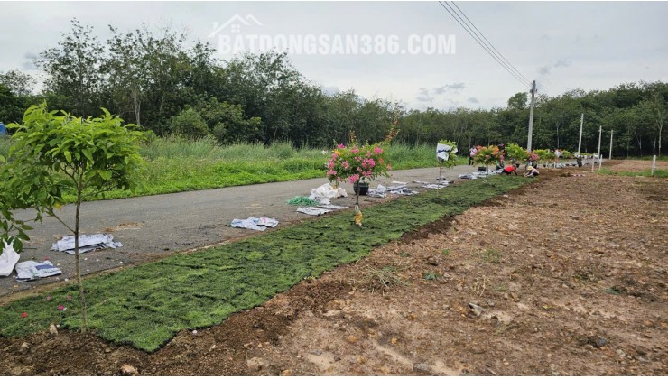 Sở Hữu Đất TP>HCM - Đất vị trí trung tâm – Giá chỉ từ 2,7 TRIỆU/M²