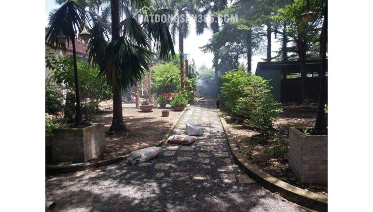 ĐỊNH CƯ NƯỚC NGOÀI CẦN BÁN NHANH LÔ ĐẤT – GIÁ TỐT  – CHÍNH CHỦ BÁN TẠI Xã Tân Thông Hội, Củ Chi