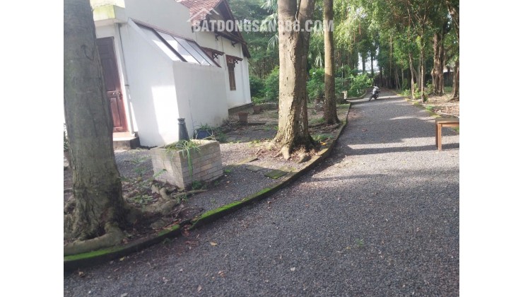 ĐỊNH CƯ NƯỚC NGOÀI CẦN BÁN NHANH LÔ ĐẤT – GIÁ TỐT  – CHÍNH CHỦ BÁN TẠI Xã Tân Thông Hội, Củ Chi