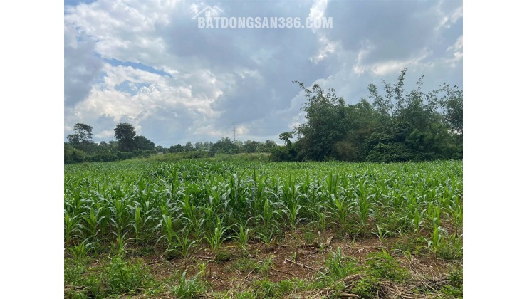 LÔ ĐẤT VỊ TRÍ ĐẸP - GIÁ TỐT tại xã Bàu Cạn, huyện Long Thành, tỉnh Đồng Nai