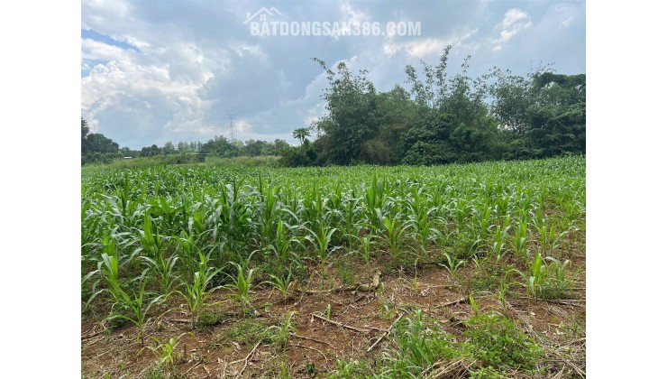 LÔ ĐẤT VỊ TRÍ ĐẸP - GIÁ TỐT tại xã Bàu Cạn, huyện Long Thành, tỉnh Đồng Nai