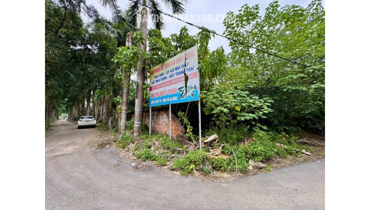 Lô đất trục chính Đồng Trạng – Giá chỉ 3xtr/m², lãi ngay sau khi cọc