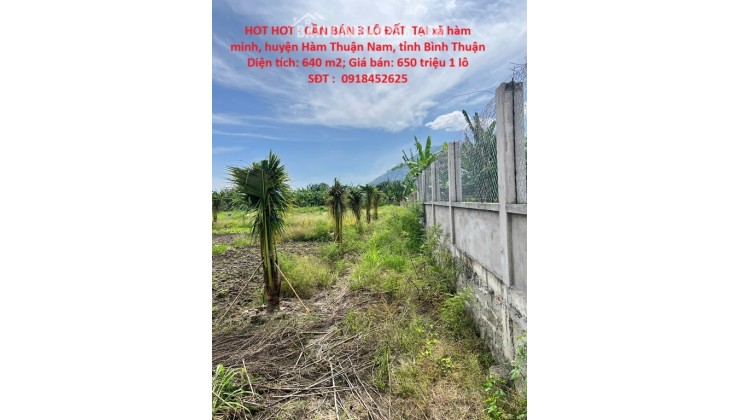 HOT HOT - CẦN BÁN 3 LÔ ĐẤT  TẠI xã hàm minh, huyện Hàm Thuận Nam, tỉnh Bình Thuận