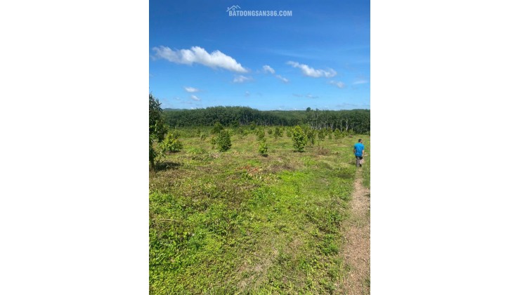 ĐẤT ĐẸP  - GIÁ ĐẦU TƯ –CHÍNH CHỦ  CẦN BÁN  LÔ ĐẤT  TẠI Xã Suối Kiết , Huyện Tánh Linh,  Bình Thuận