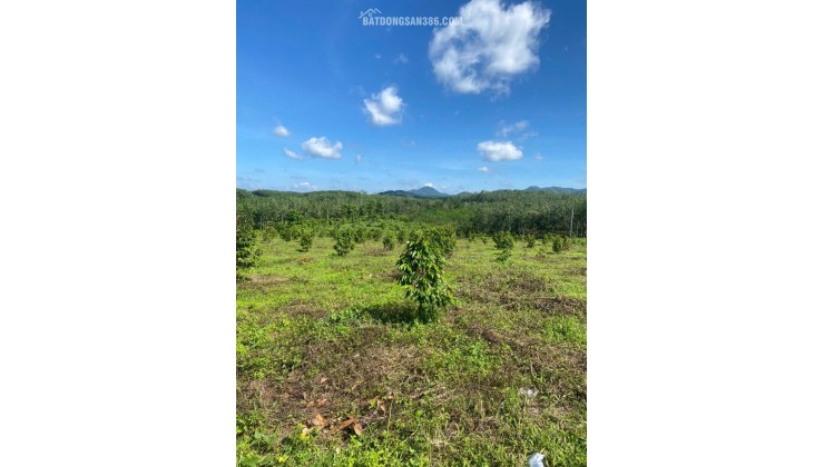 ĐẤT ĐẸP  - GIÁ ĐẦU TƯ –CHÍNH CHỦ  CẦN BÁN  LÔ ĐẤT  TẠI Xã Suối Kiết , Huyện Tánh Linh,  Bình Thuận