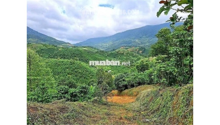 ĐẤT ĐẸP  - GIÁ ĐẦU TƯ –CHÍNH CHỦ  CẦN BÁN  LÔ ĐẤT  TẠI Thôn 10, xã Lộc Nam, Bảo Lâm, Lâm Đồng