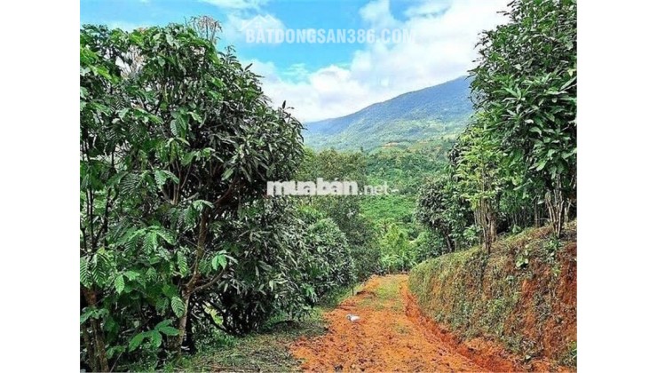 ĐẤT ĐẸP  - GIÁ ĐẦU TƯ –CHÍNH CHỦ  CẦN BÁN  LÔ ĐẤT  TẠI Thôn 10, xã Lộc Nam, Bảo Lâm, Lâm Đồng