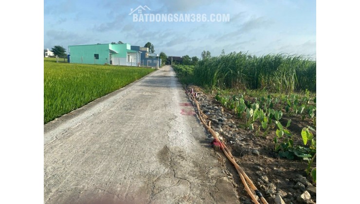 ĐẤT ĐẸP - GIÁ TỐT - Bán GẤP Lô Đất Tiềm Năng Tại Xã Bình Tân, Gò Công Tây, Tiền Giang