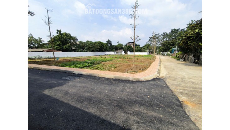 Chỉ hơn 2 tỷ, tôi nhượng lại lô đất 100m² tại Phúc Lộc – Cổ Đông.