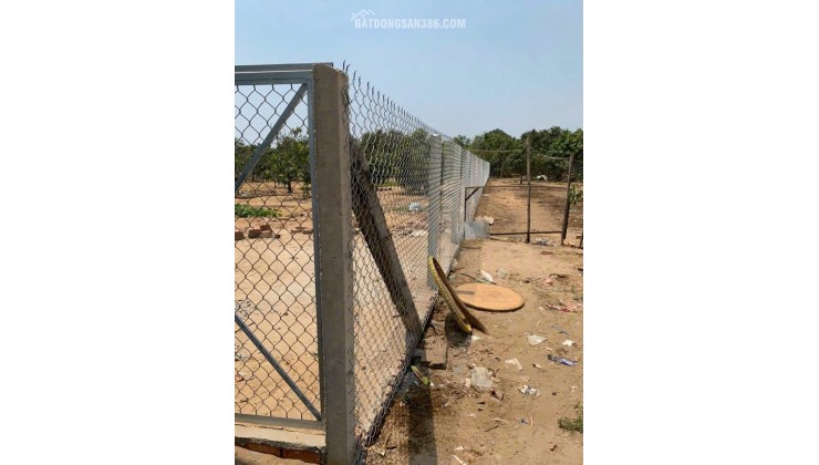 TIN SIÊU HOT Chính chủ gửi bán lô đất vườn cực đẹp huyện Cần Giờ cách Vingroup Cần Giờ khoảng 1,5km