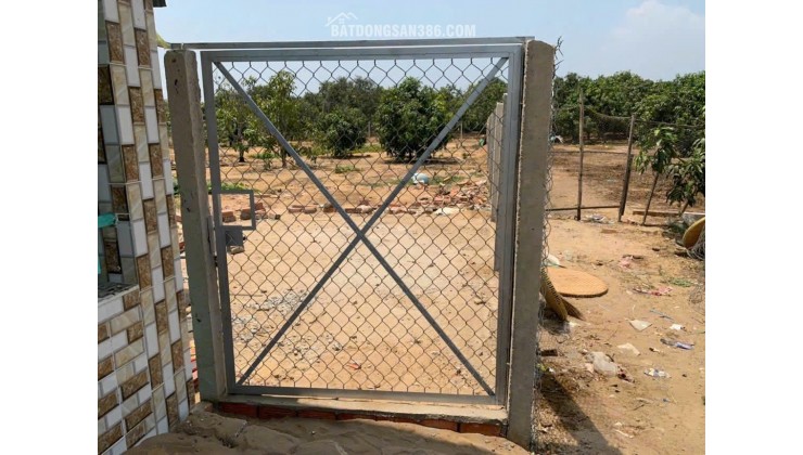 TIN SIÊU HOT Chính chủ gửi bán lô đất vườn cực đẹp huyện Cần Giờ cách Vingroup Cần Giờ khoảng 1,5km