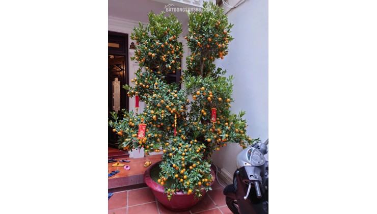 HOT NHÀ ĐẤT ĐẸP- GIÁ TỐT CẦN BÁN NHANH BIỆT THỤ SÂN VƯỜN khu phố ẩm thực Đảo Ngọc Ngũ Xá P.Trúc Bạch