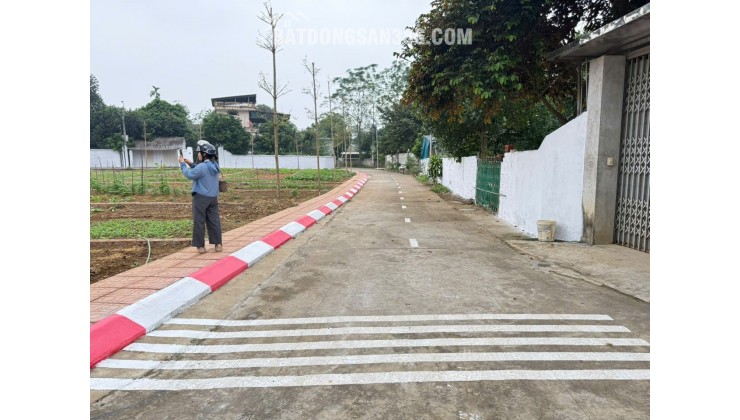 TÀI CHÍNH 2-3 TỶ LÔ ĐẤT TRỤC CHÍNH TRẠI LÁNG CỔ ĐÔNG GIÁ RẺ BẤT NGỜ