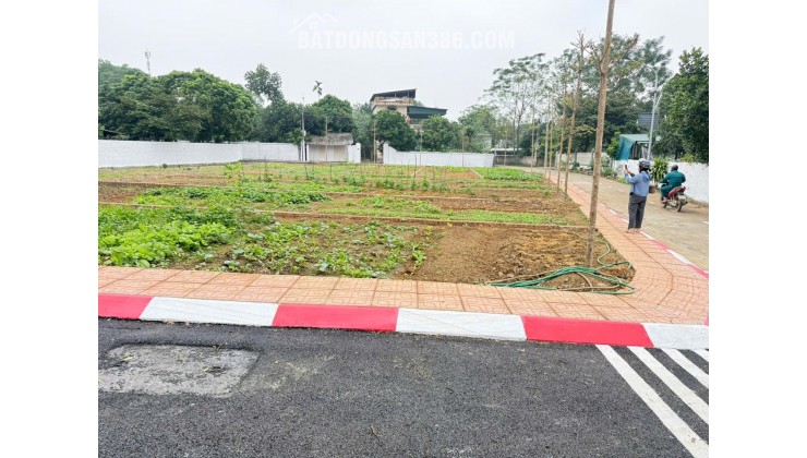 TÀI CHÍNH 2-3 TỶ LÔ ĐẤT TRỤC CHÍNH TRẠI LÁNG CỔ ĐÔNG GIÁ RẺ BẤT NGỜ