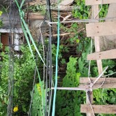 Bán đất thổ cư KĐT Sài Đồng – Lô đẹp, vị trí đáng sống bậc nhất Long Biên