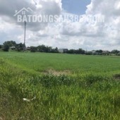 Đất 8x30m gần Tỉnh lộ 835 – hạ tầng hoàn chỉnh, thích hợp ở nghĩ dưỡng