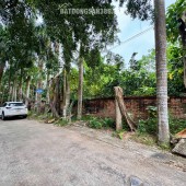 LÔ ĐẤT PHONG THUỶ ĐƯỢC BAO QUANH HỒ TẠI ĐỒNG TRẠNG