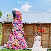 Bán Đất Sun Valley Bảo Lộc Full Thổ Cư