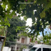 BÁN NHÀ MẶT TIỀN KHÚC THỪA DỤ
Diện tích: 317,5m² (ngang 11m)
Hướng: Đông Nam
Đường trước nhà rộng 15m, khu vực trung tâm sầm uất, tiện kinh doanh