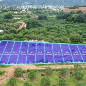 Bán 128m2 đối diện cụm cn Suối Dầu full thổ 830 triệu Ngang 5, dài 25 full thổ cư.
- Đường 7m ô tô thoải mái.
- Cách cụm CN suối dầu 70m
Giá bán 830