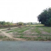 Lô đất 7x22 nở hậu 7,5m Trần Thế Sinh - Bến Lức giá 1.5 tỷ thương lượng