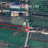 Chính chủ bán đất 1030m2 giá 7,2 tỷ, tp. Tân An, Long An