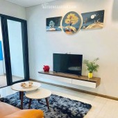 Cần bán gấp căn hộ 1 ngủ tòa BIM 30T view thoáng đẹp giá cực tốt do chính chủ điều chuyển công tác