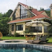 Lô đất trục chính Đồng Trạng – Giá chỉ 3xtr/m², lãi ngay sau khi cọc