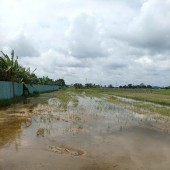 ĐẤT ĐẸP - CHÍNH CHỦ - GIÁ TỐT BÁN NHANH lô đất đẹp tiềm năng đầu tư tại huyện Củ Chi, TPHCM