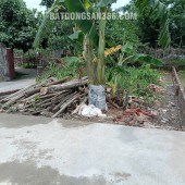 Chính Chủ Cần Bán Lô Đất Trung Tâm TDP Bảo Thắng, TT Hợp Châu, Huyện Tam Đảo - Vĩnh Phúc