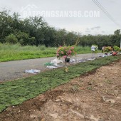 CƠ HỘI SỞ HỮU ĐẤT ĐẸP TẠI AN LONG, TP.HCM – VỊ TRÍ TIỀM NĂNG, PHÁP LÝ RÕ RÀNG