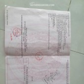 ĐẤT ĐẸP – GIÁ TỐT  – CHÍNH CHỦ CẦN BÁN Tại Dx 07 Xã Tân Vĩnh Hiệp, Tân Uyên, Bình Dương