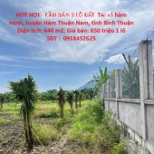HOT HOT - CẦN BÁN 3 LÔ ĐẤT  TẠI xã hàm minh, huyện Hàm Thuận Nam, tỉnh Bình Thuận