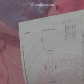 ĐẤT CHÍNH CHỦ - VỊ TRÍ ĐẸP Thôn Trà Bình Đông, Xã Mỹ Hiệp, Phù Mỹ - Bình Định