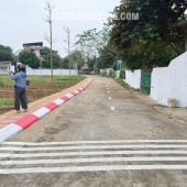 TÀI CHÍNH 2-3 TỶ LÔ ĐẤT TRỤC CHÍNH TRẠI LÁNG CỔ ĐÔNG GIÁ RẺ BẤT NGỜ