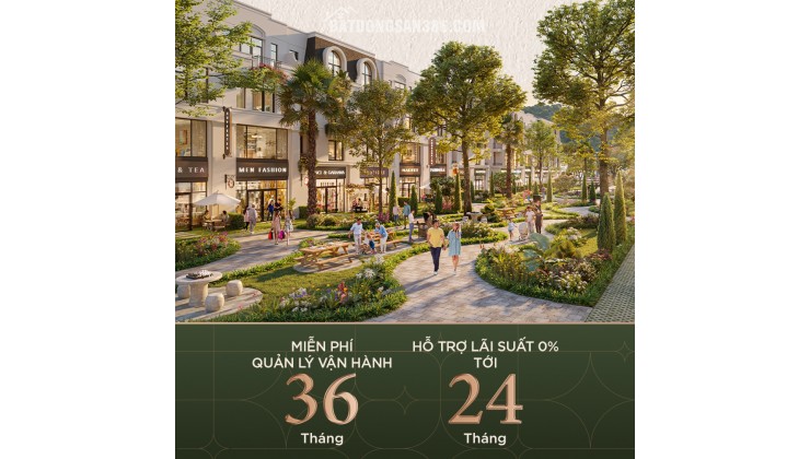 Đầu tư an toàn, tích sản bền vững với dự án Vlasta Thủy Nguyên của chủ đầu tư Văn Phú Invest