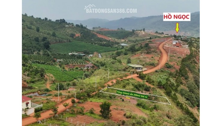 LÔ ĐẤT 540M² (200M² THỔ CƯ) – MẶT TIỀN ĐƯỜNG CHÍNH HỒ NGỌC, BẢO LỘC