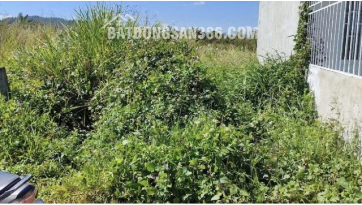 Bán đất nền 5x18m trung tâm xã Long Hòa – Cách KCN Cầu Tràm chỉ 5 phút