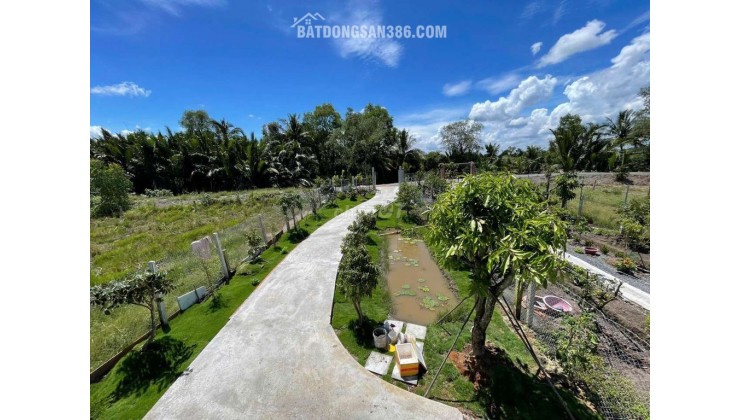 Nhà vườn 7x25m gần chợ Bến Lức – Sổ hồng riêng, thổ cư 100%