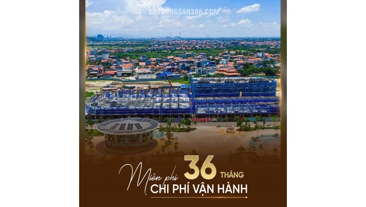 Quỹ căn độc quyền duy nhất tai phân khu Phú Quý dự án Vlasta Thủy Nguyên của chủ đầu tư Văn Phú Invest