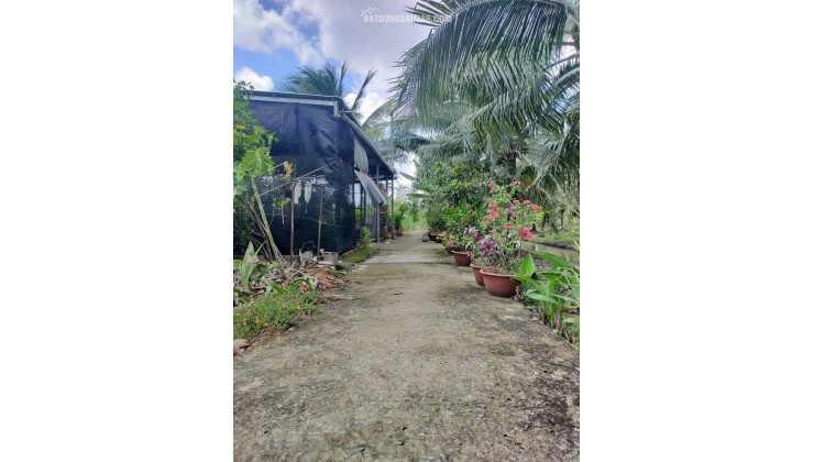 Đất nền vuông vức 285m2 tại Phú Tân, TP Bến Tre – giá rẻ bất ngờ!