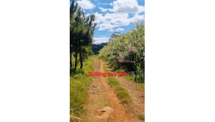 LÔ ĐẤT 540M² (200M² THỔ CƯ) – MẶT TIỀN ĐƯỜNG CHÍNH HỒ NGỌC, BẢO LỘC