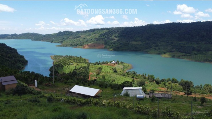  ĐẤT ĐỒI 2.594M² (700M² THỔ CƯ) – VIEW TOÀN CẢNH HỒ NGỌC